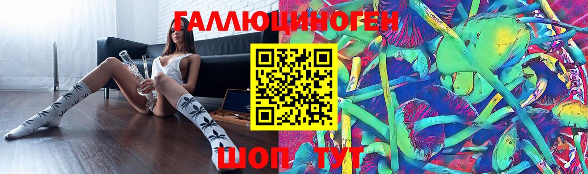 Славянск-на-Кубани  Псилоцибиновые грибы мицелий  Вход с VPN 